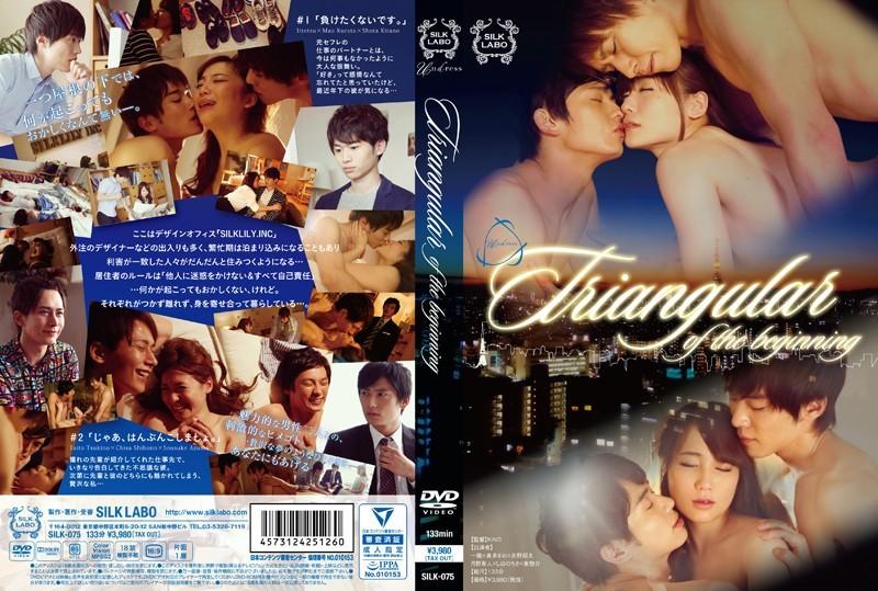Gay Silk Porn - SILK-075 | JAPAN GAY SEX