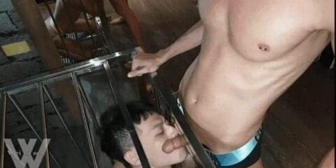 Slave dog love cock