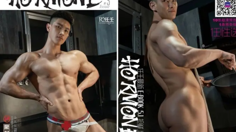 HORMONE 03 – Aran